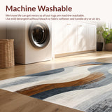 Ultra Soft Area Rug, Non Slip, Stain Resistant, Washable Area Rugs for Living Room, Bedroom, Elegant Distressed Area Rug with Abstract Swirl Design in Neutral Tones(Gray)
