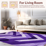 Ultra Soft Area Rug, Non Slip, Stain Resistant, Washable Area Rugs for Living Room, Bedroom, Chic Solid Purple Shag Style(Purple)