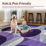 Ultra Soft Area Rug, Non Slip, Stain Resistant, Washable Area Rugs for Living Room, Bedroom, Vibrant Cozy Purple Hue(Purple)