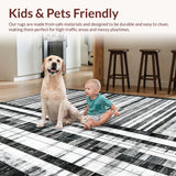 Ultra Soft Area Rug, Non Slip, Stain Resistant, Washable Area Rugs for Living Room, Bedroom, Graphic Stripe Rug with Contemporary Pinstripe Accents and Modern Geometry(Black)