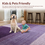 Ultra Soft Area Rug, Non Slip, Stain Resistant, Washable Area Rugs for Living Room, Bedroom, Modern Solid Texture Rug With Urban Chic Velvet Finish And Deep Purple Hue(Purple)