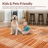 Ultra Soft Area Rug, Non Slip, Stain Resistant, Washable Area Rugs for Living Room, Bedroom, Lively Textured Warmth Elements(Orange)