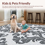 Ultra Soft Area Rug, Non Slip, Stain Resistant, Washable Area Rugs for Living Room, Bedroom, Versatile Indoor Outdoor Rug for Minimalist Patio(Black)