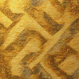 Ultra Soft Area Rug, Non Slip, Stain Resistant, Washable Area Rugs for Living Room, Bedroom, Retro Greek Key Living Room Gold Accent Rug(Gold)