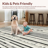 Ultra Soft Area Rug, Non Slip, Stain Resistant, Washable Area Rugs for Living Room, Bedroom, Graphic Stripe Motif Rug for Stylish Decor(Gray)
