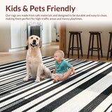Ultra Soft Area Rug, Non Slip, Stain Resistant, Washable Area Rugs for Living Room, Bedroom, Classic Striped Harmony Rug Featuring Graphic Bands and Crisp Edge Detailing(Black)