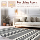 Ultra Soft Area Rug, Non Slip, Stain Resistant, Washable Area Rugs for Living Room, Bedroom, Chic Neutral Toned Linear Arrangement(Black)