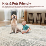 Ultra Soft Area Rug, Non Slip, Stain Resistant, Washable Area Rugs for Living Room, Bedroom, Stylish Neutral Area Modern with Rustic Accents(Gray)