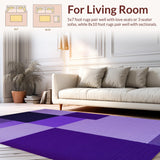 Ultra Soft Area Rug, Non Slip, Stain Resistant, Washable Area Rugs for Living Room, Bedroom, Stylish Shaggy Contemporary Vibe(Purple)