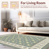 Ultra Soft Area Rug, Non Slip, Stain Resistant, Washable Area Rugs for Living Room, Bedroom, Modern Ivory Symmetrical Theme(Gray)