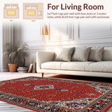 Ultra Soft Area Rug, Non Slip, Stain Resistant, Washable Area Rugs for Living Room, Bedroom, Chic Transitional Ethnic Textures(Red)