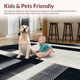 Ultra Soft Area Rug, Non Slip, Stain Resistant, Washable Area Rugs for Living Room, Bedroom, Ebony & Ivory Dash: Cotton Flatweave Rug, Modern Hall Decor(Black)