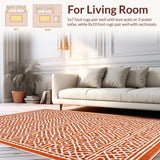Ultra Soft Area Rug, Non Slip, Stain Resistant, Washable Area Rugs for Living Room, Bedroom, Classic Vivid Living Room Non-Slip Area Rug(Orange)