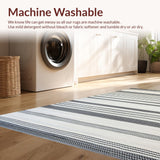 Ultra Soft Area Rug, Non Slip, Stain Resistant, Washable Area Rugs for Living Room, Bedroom, Chic Modern Lattice Design(Black)