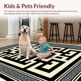 Ultra Soft Area Rug, Non Slip, Stain Resistant, Washable Area Rugs for Living Room, Bedroom, Modern Neutral Home Office Low Pile Rug(Black)