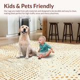 Ultra Soft Area Rug, Non Slip, Stain Resistant, Washable Area Rugs for Living Room, Bedroom, Rustic Earthy Textured Accent(Beige)