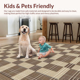 Ultra Soft Area Rug, Non Slip, Stain Resistant, Washable Area Rugs for Living Room, Bedroom, Modern Oversized Checkered Design(Beige)