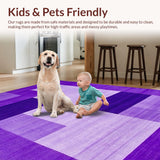 Ultra Soft Area Rug, Non Slip, Stain Resistant, Washable Area Rugs for Living Room, Bedroom, Contemporary Soft Shag Aesthetic(Purple)