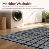 Ultra Soft Area Rug, Non Slip, Stain Resistant, Washable Area Rugs for Living Room, Bedroom, Striking Modernist Trellis Composition(Black)