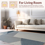 Ultra Soft Area Rug, Non Slip, Stain Resistant, Washable Area Rugs for Living Room, Bedroom, Contemporary Minimalist Dining Room Soft Indoor Rug(Gray)