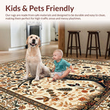 Ultra Soft Area Rug, Non Slip, Stain Resistant, Washable Area Rugs for Living Room, Bedroom, Serene Naturalistic Visual Appeal(Beige)
