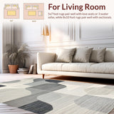Ultra Soft Area Rug, Non Slip, Stain Resistant, Washable Area Rugs for Living Room, Bedroom, Refined Minimalist Wave Texture(Gray)