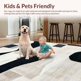 Ultra Soft Area Rug, Non Slip, Stain Resistant, Washable Area Rugs for Living Room, Bedroom, Neutral Ivory Black Carpet for Minimalist High Traffic Spaces(Black)