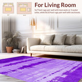 Ultra Soft Area Rug, Non Slip, Stain Resistant, Washable Area Rugs for Living Room, Bedroom, Unique Contemporary Tie-Dye Flair(Purple)