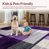 Ultra Soft Area Rug, Non Slip, Stain Resistant, Washable Area Rugs for Living Room, Bedroom, Chic Transitional Textured Floor Accent(Purple)