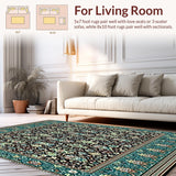 Ultra Soft Area Rug, Non Slip, Stain Resistant, Washable Area Rugs for Living Room, Bedroom, Modern Abstract Boho Hallway Area(Black)