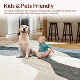 Ultra Soft Area Rug, Non Slip, Stain Resistant, Washable Area Rugs for Living Room, Bedroom, Serene Desert Oasis Indoor/ Area Rug Natural Gray Runner(Beige)