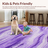 Ultra Soft Area Rug, Non Slip, Stain Resistant, Washable Area Rugs for Living Room, Bedroom, Lively Shaggy Patterned Textile(Purple)