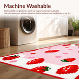 Ultra Soft Area Rug, Non Slip, Stain Resistant, Washable Area Rugs for Living Room, Bedroom, Whimsical Fruit-Themed Bath Decor(Red)