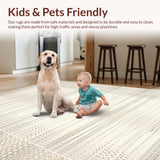 Ultra Soft Area Rug, Non Slip, Stain Resistant, Washable Area Rugs for Living Room, Bedroom, Luxurious Creamy Shag Pattern(Beige)