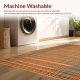 Ultra Soft Area Rug, Non Slip, Stain Resistant, Washable Area Rugs for Living Room, Bedroom, Vibrant Earthy Tiger Aesthetic(Orange)
