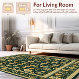 Ultra Soft Area Rug, Non Slip, Stain Resistant, Washable Area Rugs for Living Room, Bedroom, Modern Abstract Non Slip Kitchen Area(Black)