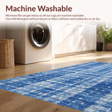 Ultra Soft Area Rug, Non Slip, Stain Resistant, Washable Area Rugs for Living Room, Bedroom, Charming Ribbon Tie Decorative Rug Preppy Home Accent Cute Girly Carpet(Blue)