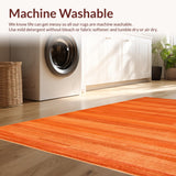 Ultra Soft Area Rug, Non Slip, Stain Resistant, Washable Area Rugs for Living Room, Bedroom, Chic Terracotta Textured Runner(Orange)