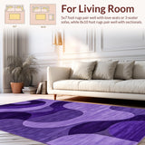 Ultra Soft Area Rug, Non Slip, Stain Resistant, Washable Area Rugs for Living Room, Bedroom, Elegant Purple Fluffy Decor Element(Purple)