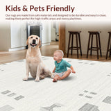 Ultra Soft Area Rug, Non Slip, Stain Resistant, Washable Area Rugs for Living Room, Bedroom, Natural Fluffy Minimalist Decor Element(Gray)