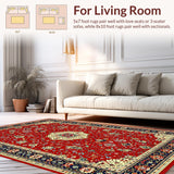 Ultra Soft Area Rug, Non Slip, Stain Resistant, Washable Area Rugs for Living Room, Bedroom, Chic Modern Abstract Design(Red)