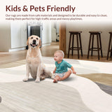 Ultra Soft Area Rug, Non Slip, Stain Resistant, Washable Area Rugs for Living Room, Bedroom, Elegant Abstract Area with Surface Design(Beige)