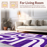 Ultra Soft Area Rug, Non Slip, Stain Resistant, Washable Area Rugs for Living Room, Bedroom, Soft Purple Shaggy Textures(Purple)