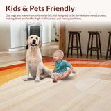 Ultra Soft Area Rug, Non Slip, Stain Resistant, Washable Area Rugs for Living Room, Bedroom, Modern Minimalist Colorful Arrangement(Beige)