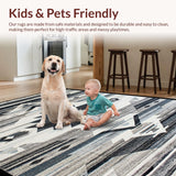 Ultra Soft Area Rug, Non Slip, Stain Resistant, Washable Area Rugs for Living Room, Bedroom, Southwestern Aesthetic Bedroom Throw Rug Grey(Gray)
