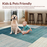 Ultra Soft Area Rug, Non Slip, Stain Resistant, Washable Area Rugs for Living Room, Bedroom, Transitional Ombre Rug: Subtle Color Variations, Smooth Surface Design(Blue)