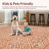 Ultra Soft Area Rug, Non Slip, Stain Resistant, Washable Area Rugs for Living Room, Bedroom, Modern Chic Knotted Tassel Aesthetic(Orange)