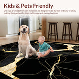 Ultra Soft Area Rug, Non Slip, Stain Resistant, Washable Area Rugs for Living Room, Bedroom, Dynamic Modern Geometric Blend(Black)