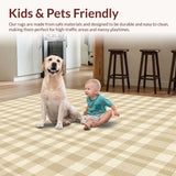Ultra Soft Area Rug, Non Slip, Stain Resistant, Washable Area Rugs for Living Room, Bedroom, Stylish Warm Earthy Shag Design(Beige)