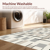 Ultra Soft Area Rug, Non Slip, Stain Resistant, Washable Area Rugs for Living Room, Bedroom, Elegant Abstract Neutral Pattern(Ivory)